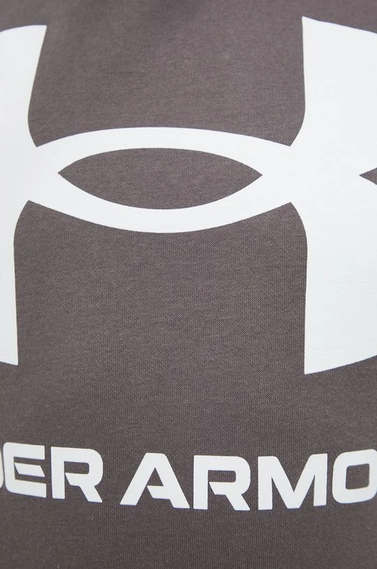 Ανδρικά Χωρίς φερμουάρ Μπλούζα Under Armour καφέ, με κουκούλα - Image 5